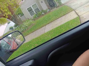 Troy F.'s Lawn Service service result