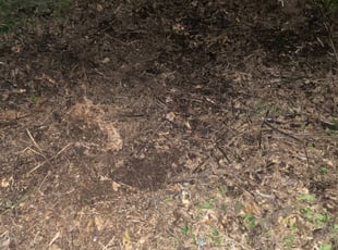Cleanups by Shawn Byers for Emily J. in Raytown, MO