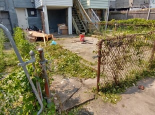 Bush Trimming by Akeel Carter for Mary F. in Baltimore, MD