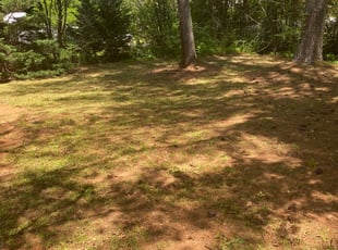 Leaf Removal by Dalevon Crawford for Carlyn S. in Conyers, GA