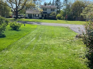 Lesley K.'s Lawn Mowing service result