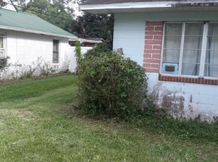 Bush Trimming by Aderias Rollins for Cheryle C. in Jacksonville, FL