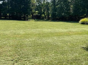 Melissa D.'s Lawn Mowing service result