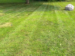 Wendi P.'s Lawn Service service result