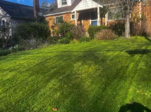 Keena M.'s Lawn Care service result