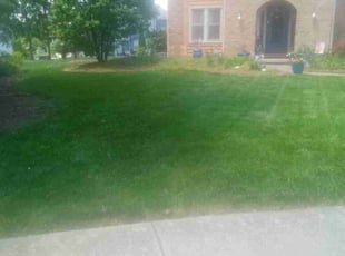 Sarah L.'s Lawn Care service result