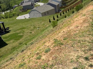 Weeding by Conan Ford for Matthew C. in Asheville, NC