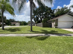 Desiree F.'s Lawn Mowing Service service result