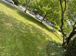 Steve W.'s Lawn Service service result