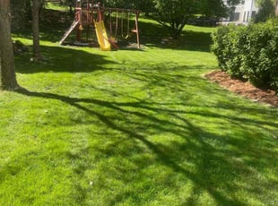 Belkys T.'s Lawn Mowing service result