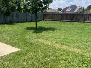 Angela L.'s Lawn Care service result