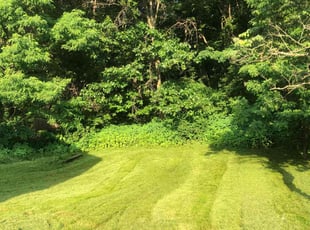 Michael M.'s Lawn Care service result