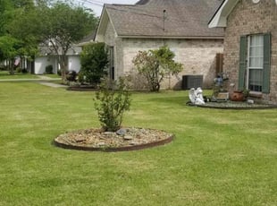 Michelle J.'s Yard Cutting service result