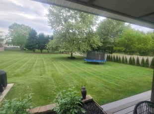 Jaclynn A.'s Yard Cutting service result