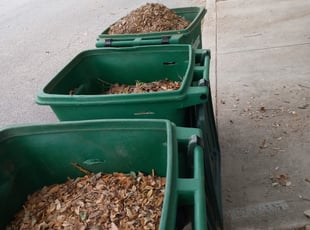 Leaf Removal by Jason Westgor for Edward S. in San Antonio, TX