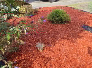 Mulching by Juan Rodriguez for Julia M. in Sacramento, CA
