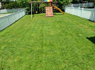 Patrick M.'s Lawn Mowing Service service result
