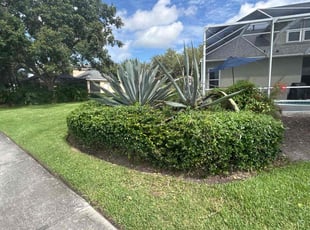 Bush Trimming by Ramon Taguja for Nikki B. in Lithia, FL