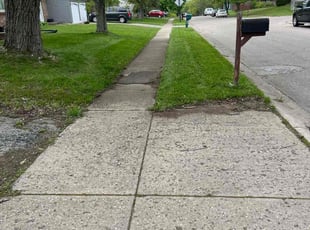 Regina L.'s Lawn Care service result