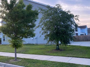 Tyrus R.'s Lawn Service service result