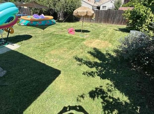 Cleanups by Tracy Spencer for Brandee F. in Sacramento, CA