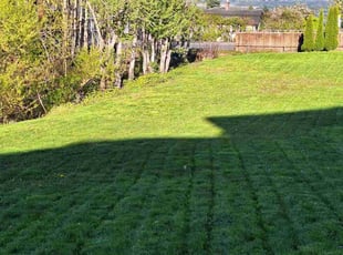 Vijay K.'s Lawn Mowing service result
