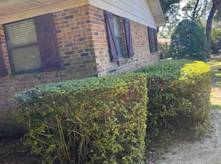 Bush Trimming by Travis Frederickson for Ashley W. in Pensacola, FL
