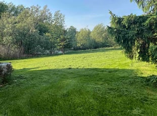David W.'s Lawn Service service result