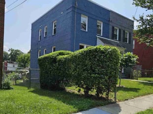 Bush Trimming by Jose Paz for Dorothy S. in Washington, DC
