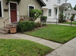 Bush Trimming by Hugo Melgar for Burt S. in Houston, TX