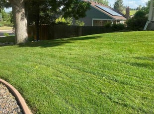 Craig S.'s Grass Cutting service result