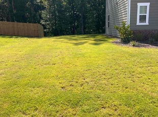 Nadell G.'s Yard Cutting service result