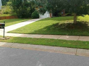 Robert D.'s Lawn Care service result