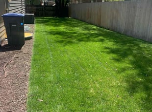 Elliott B.'s Lawn Mowing service result
