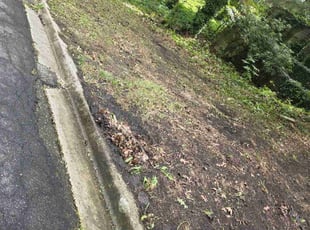 Leaf Removal by Yobani Benitez for Alyssa L. in Arnold, MD