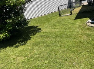 Gloria C.'s Lawn Mowing service result