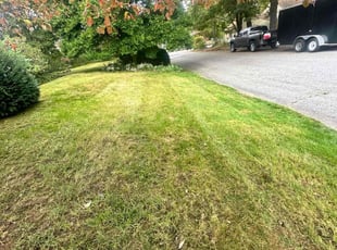 Julie A.'s Yard Cutting service result