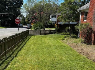 Patrick P.'s Lawn Mowing service result