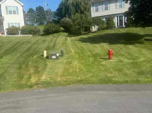 Dorothy T.'s Lawn Mowing service result
