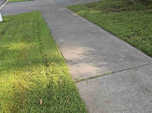 Sarah L.'s Lawn Maintenance service result