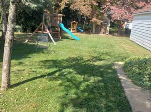 Matthew W.'s Lawn Care service result