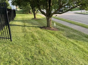Robert P.'s Lawn Maintenance service result