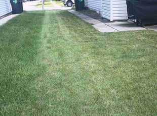 Susan C.'s Lawn Mowing Service service result