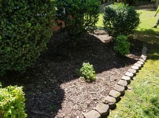 Weeding by Christina Thomas for Kimberly D. in Alpharetta, GA