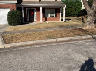 Leaf Removal by Jamal Davis for Tyrone W. in Loganville, GA