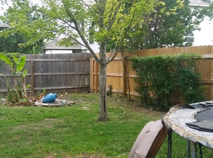 Bush Trimming by Norberto Tovar Figueroa for Martha T. in Round Rock, TX