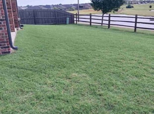 Ronda P.'s Lawn Mowing service result