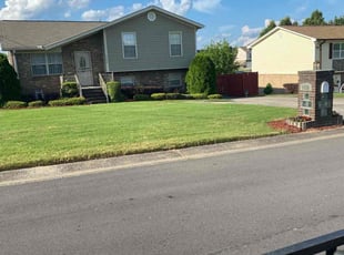 Carol T.'s Lawn Care service result