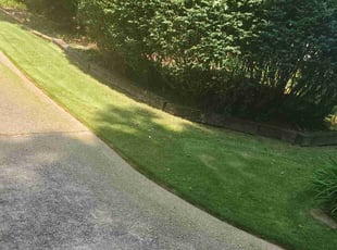 Bush Trimming by Crystal Murillo for Derrick W. in Conyers, GA