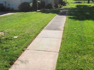 Ed R.'s Lawn Maintenance service result
